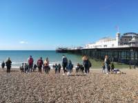 obrázok 2 z Brighton