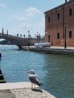 obrázok 71 z Očarujúce Benátky, Verona a Gardalandia