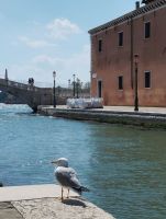 obrázok 72 z Očarujúce Benátky, Verona a Gardalandia