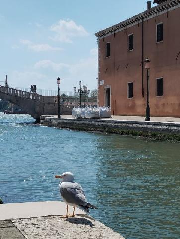 obrázok 72 z Očarujúce Benátky, Verona a Gardalandia
