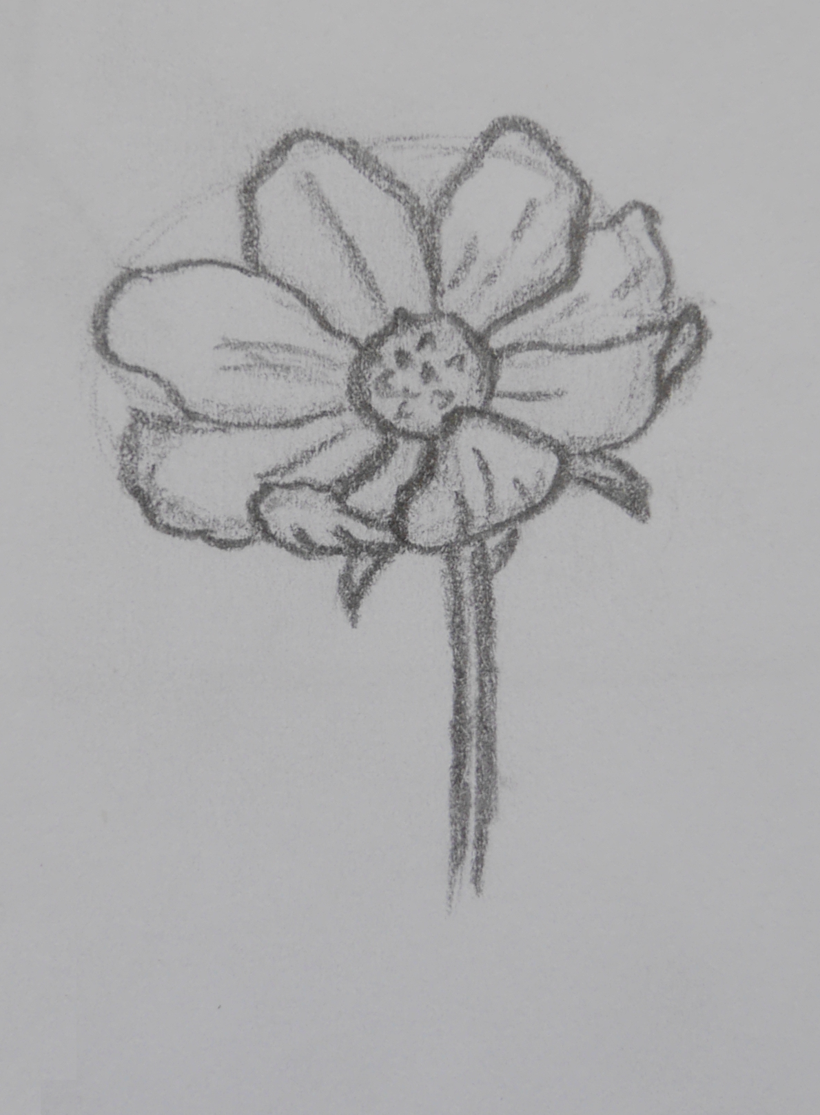flower.png, 1,7MB